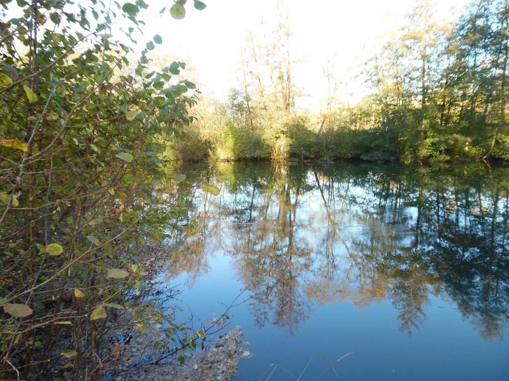 Perledelaube Villa Precy-Notre-Dame Bagian luar foto